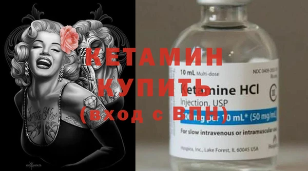шишки Дмитриев