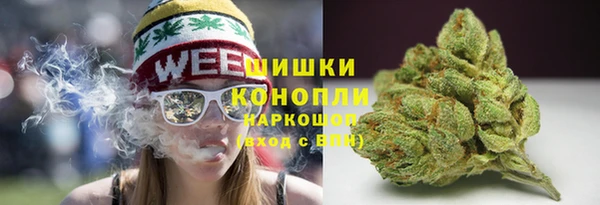 крисы Дмитровск