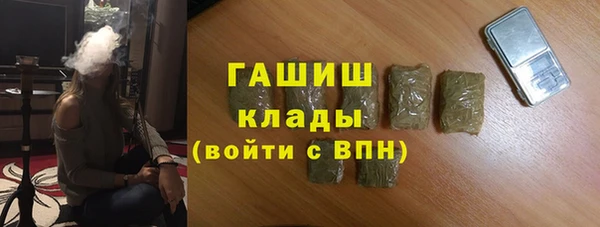 шишки Дмитриев