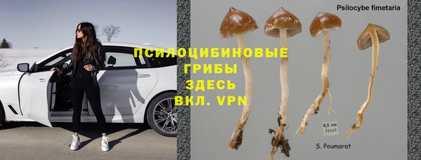 гашик Горно-Алтайск
